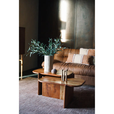 Mesa De Centro (Acacia) De Madera