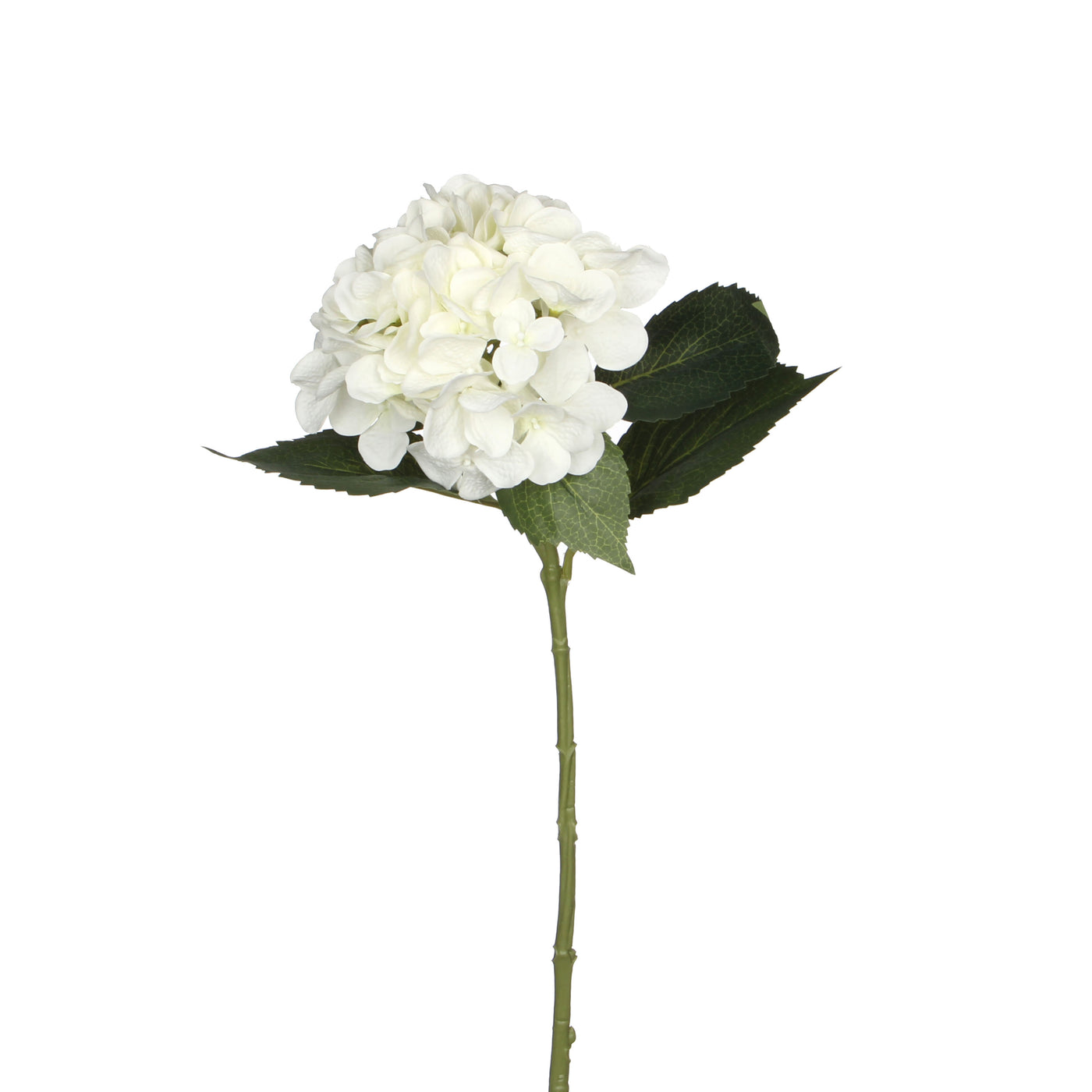 Arreglo Floral Hortensia Blanca De Plástico