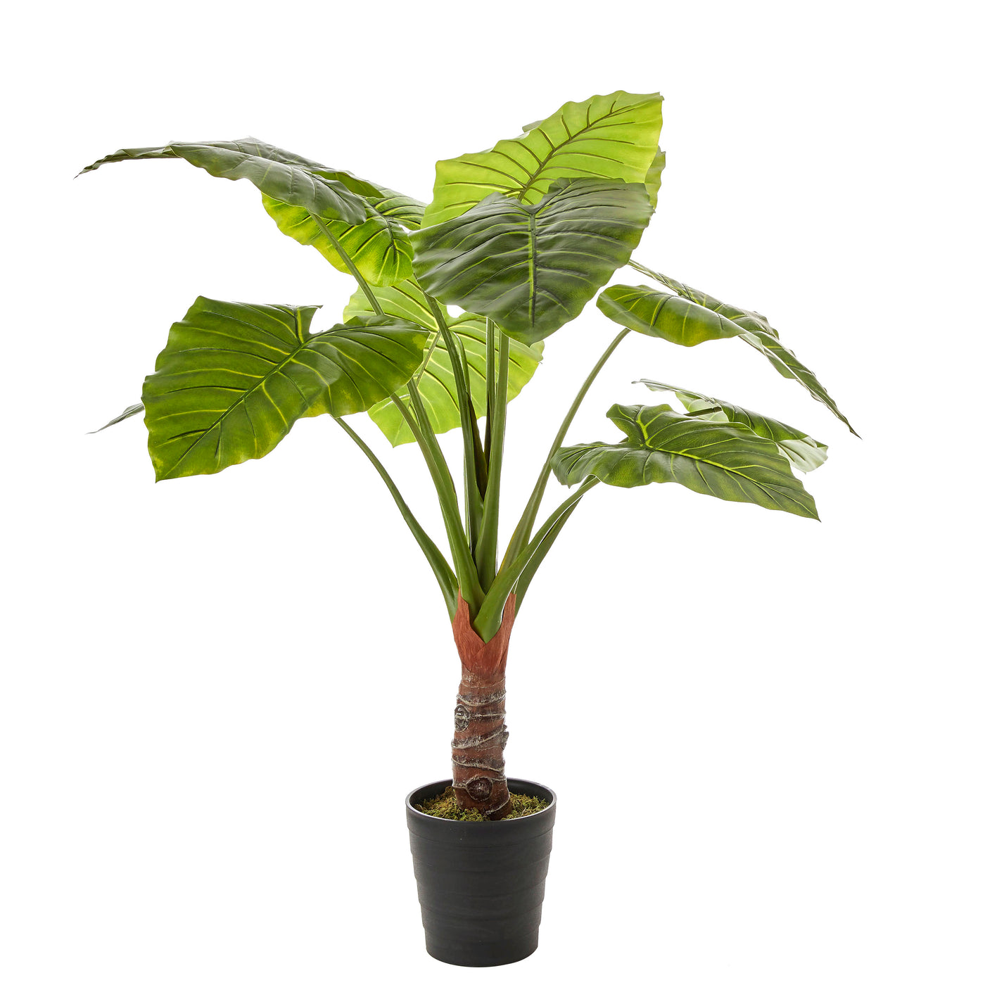 Planta Decorativa (Hojas) Con Maceta De Plástico