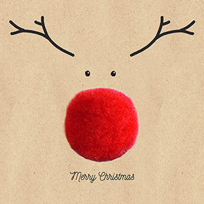 Set X 20 Servilletas (Rudolph) De Papel