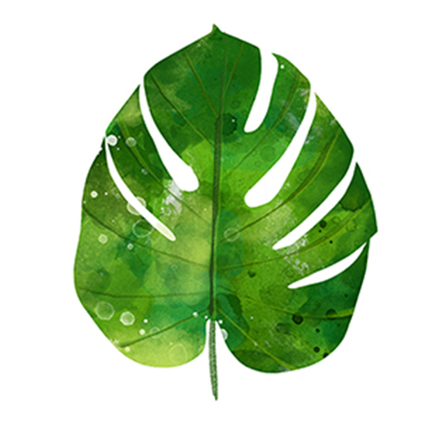 Set X 20 Servilletas Cocktail (Hoja Verde) De Papel