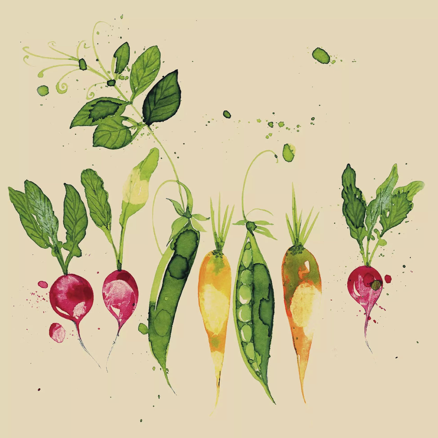 Set X 20 Servilletas (Varios Vegetables) De Papel