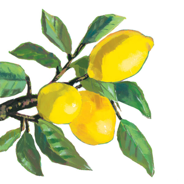 Set X 20 Servilletas (Tres Limones) De Papel