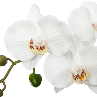 Arreglo Decorativo Orquídea De Plástico