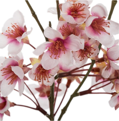 Florero De Vidrio Y Arreglo Flores/Cerezo De Plástico