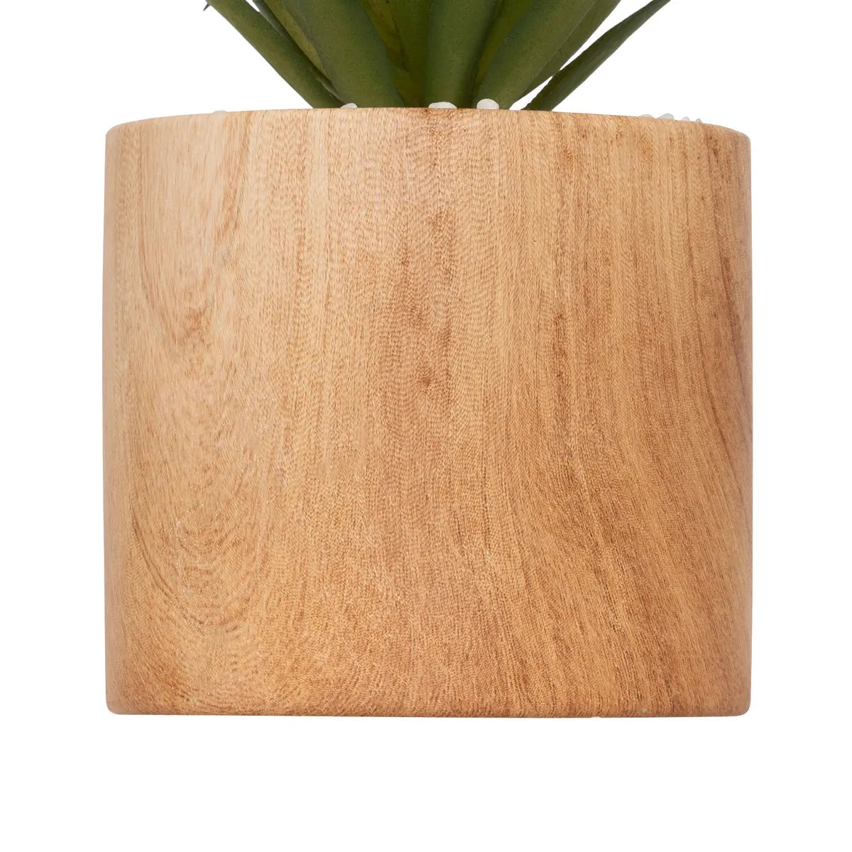 Maceta De Madera Con Planta Decorativa De Plástico