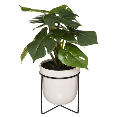 Planta Decorativa Con Maceta De Cerámica Soporte De Metal