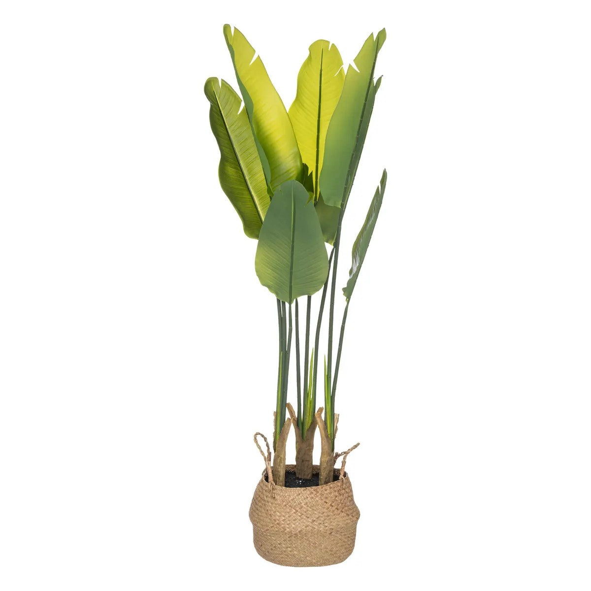 Planta Decorativa Con Maceta (Natural) De Pvc