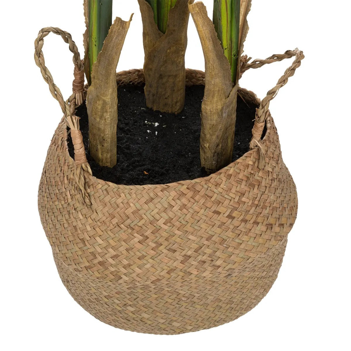 Planta Decorativa Con Maceta (Natural) De Pvc