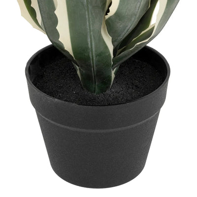 Planta Decorativa (Agave) Con Maceta De Pvc