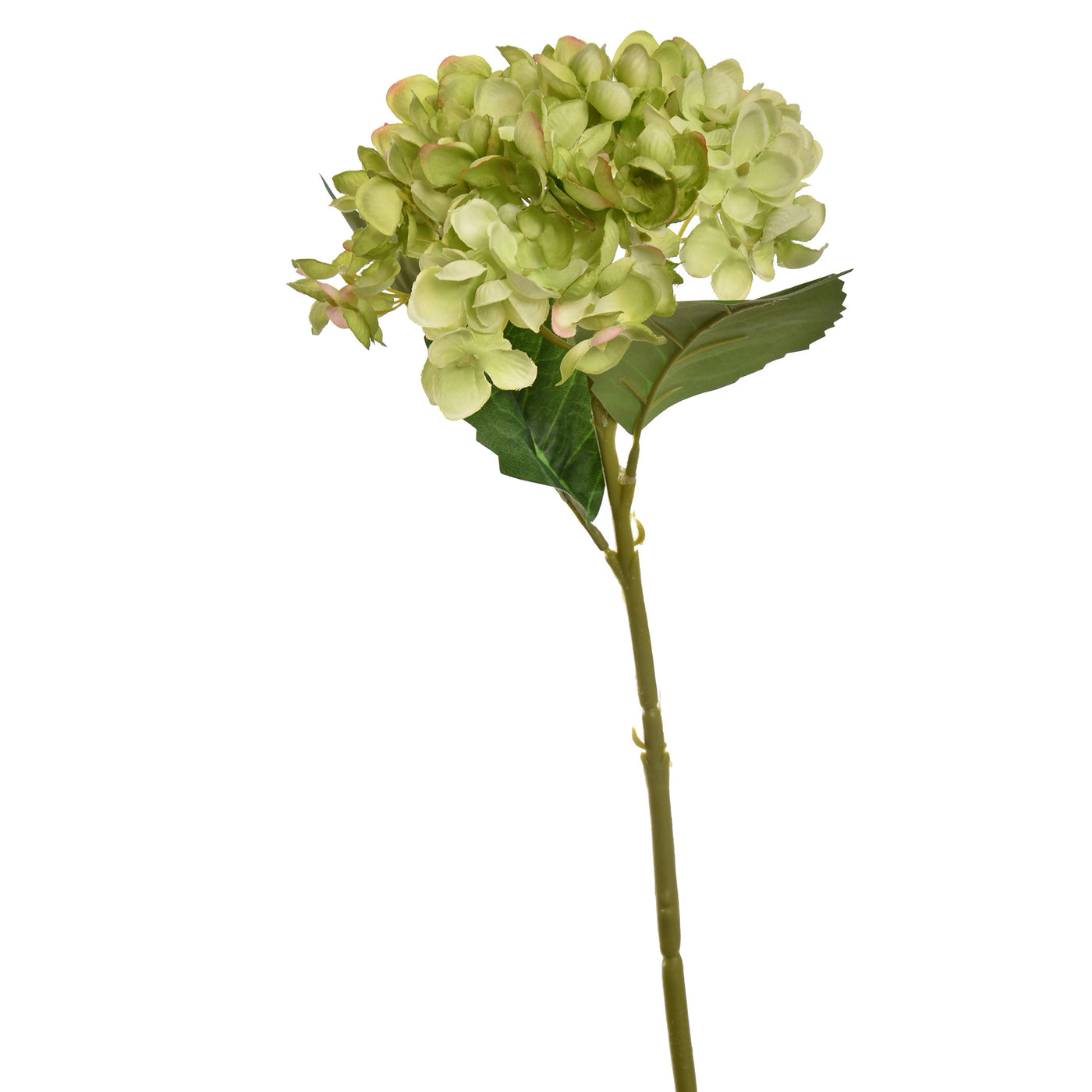 Arreglo Hortensia (Verde) De Plástico