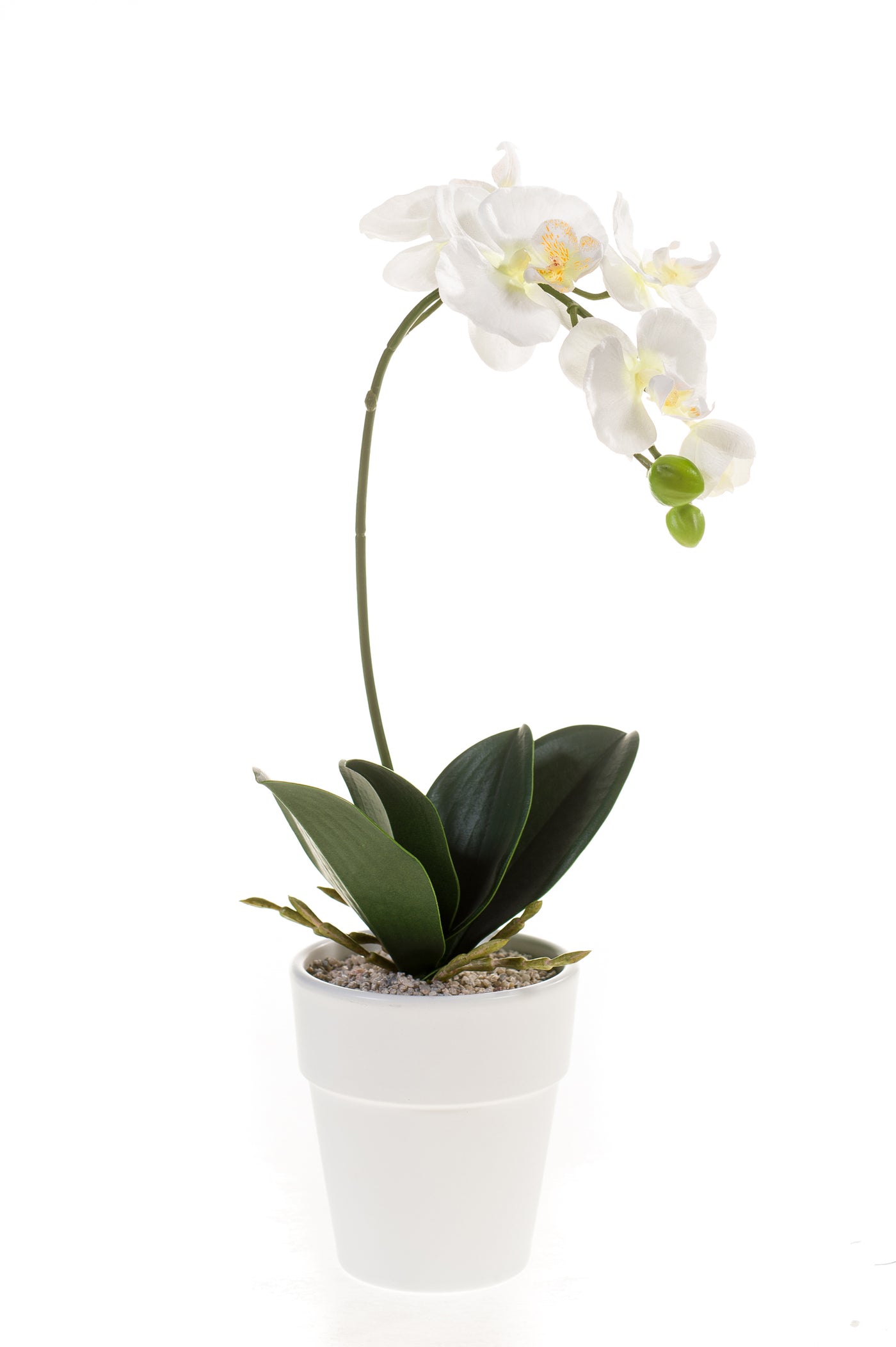 Arreglo Orquídea (Blanco) De Plástico