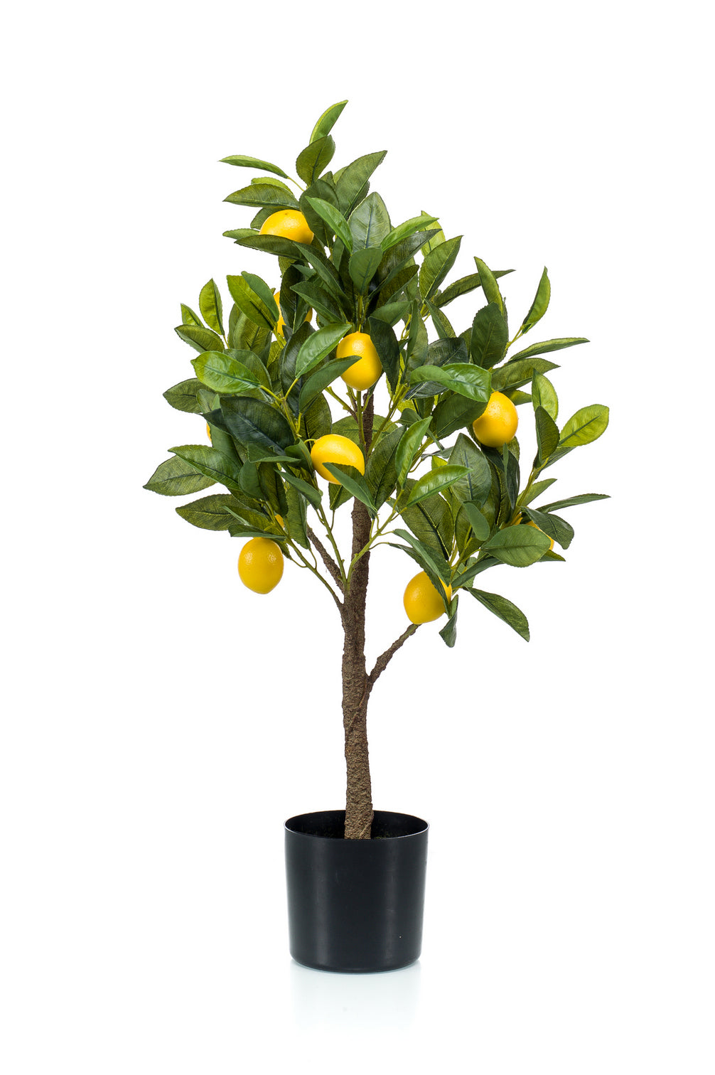 Arreglo Limones En Maceta Negra (Grande) De Plástico