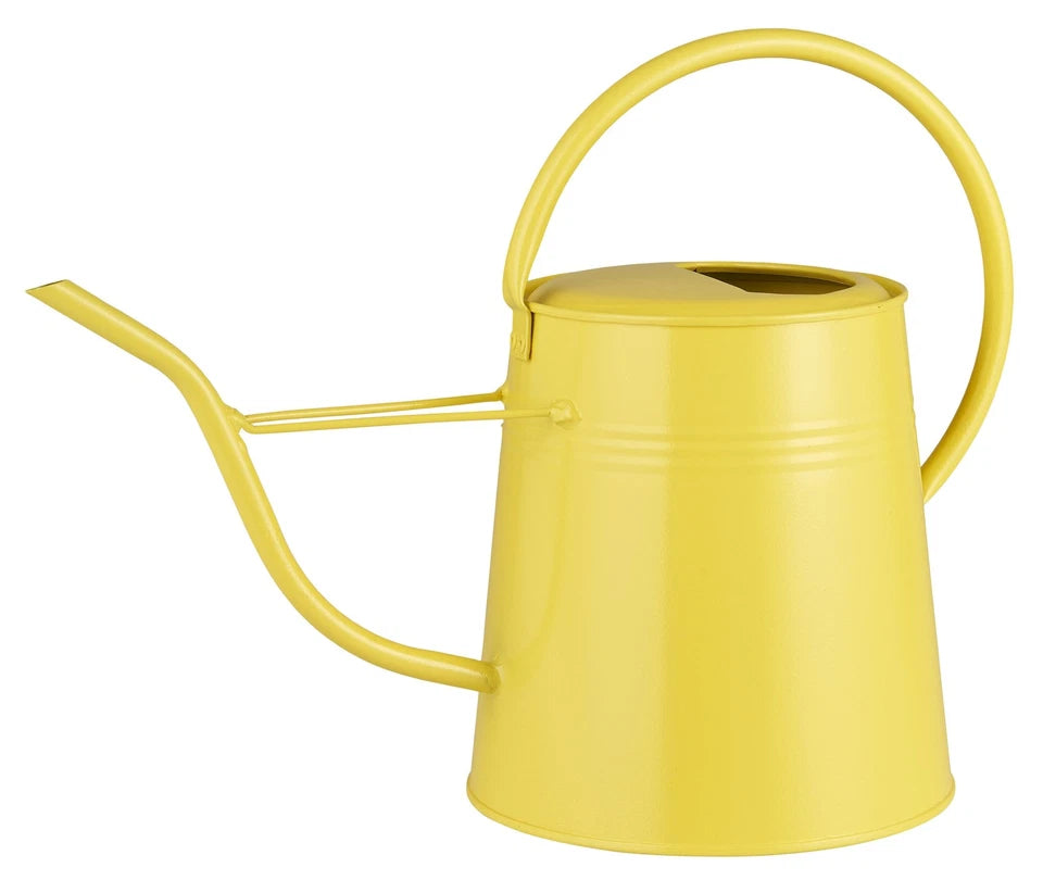 Regadera (Amarilla) Con Asa 2 Ltrs De Metal