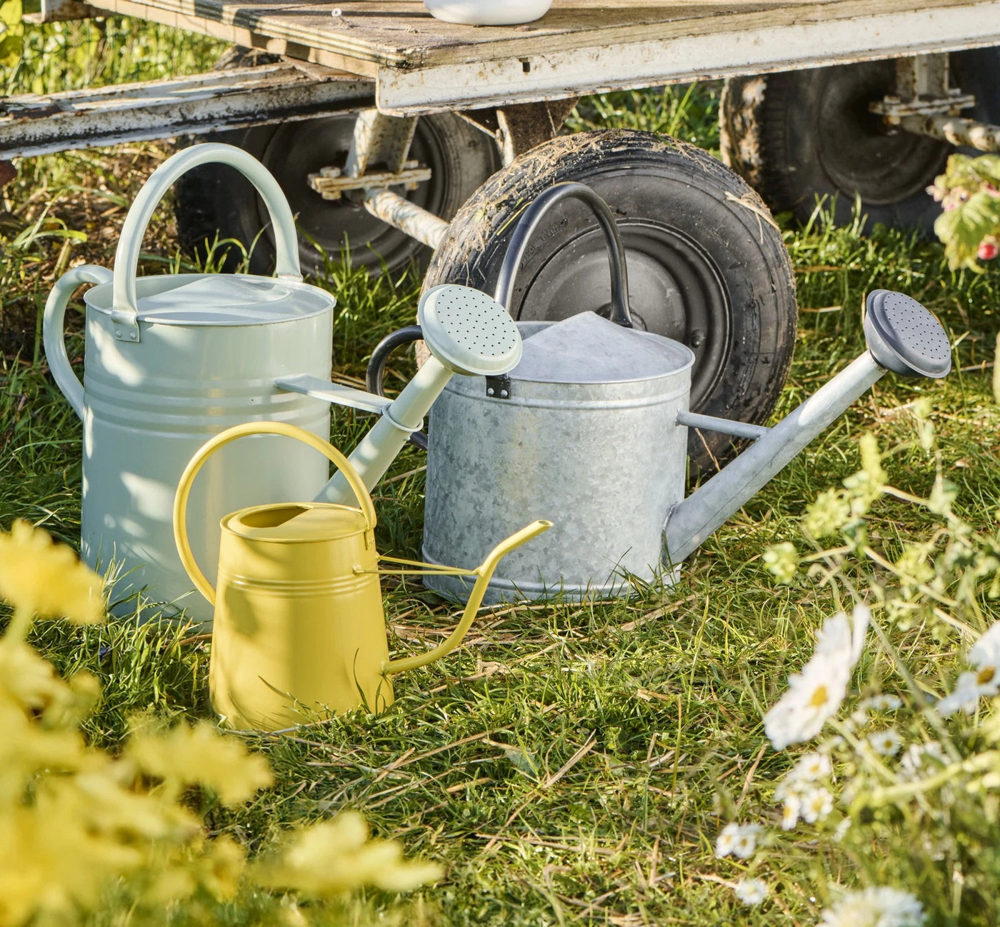 Regadera (Amarilla) Con Asa 2 Ltrs De Metal