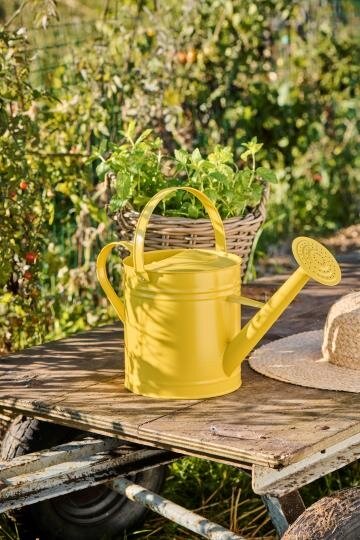 Regadera (Amarilla) Con Asa 6.3 Ltrs De Metal