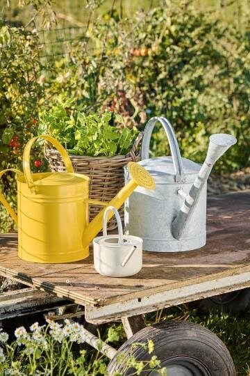 Regadera (Amarilla) Con Asa 6.3 Ltrs De Metal