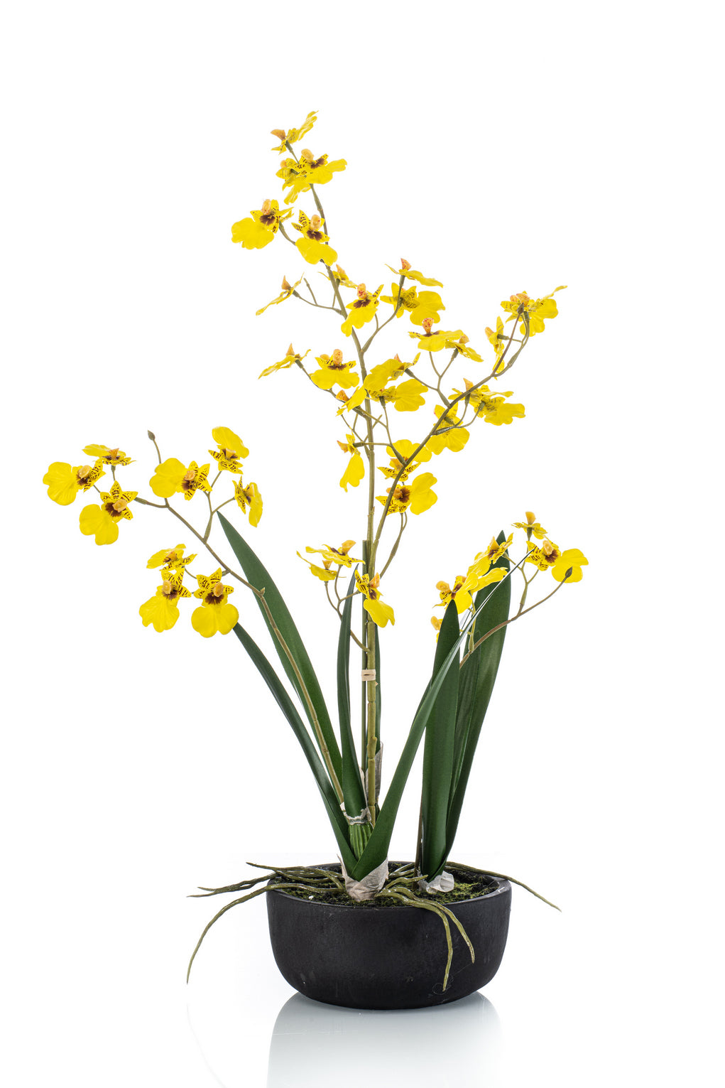 Arreglo Orquídeas Pequeñas (Amarillo) En Maceta De Cerámica