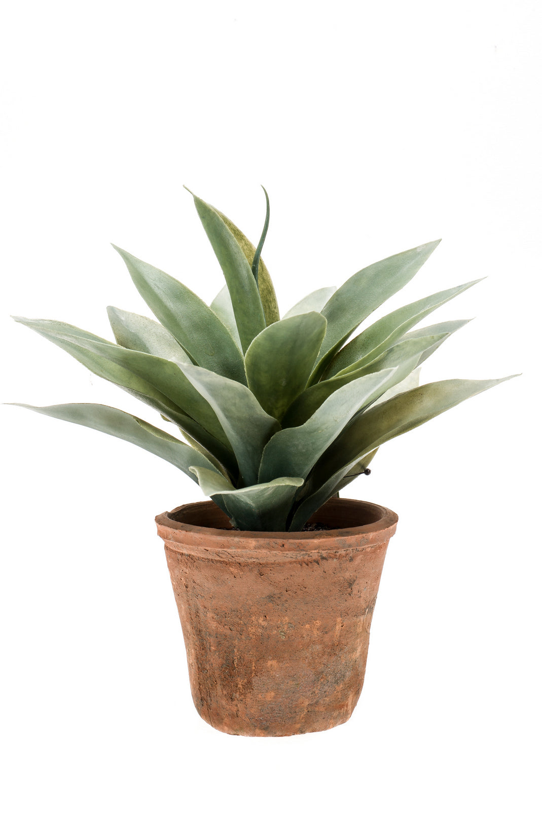 Planta Suculenta (Gris/Verde) En Maceta De Cerámica