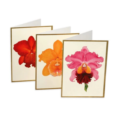 Set De 8 Tarjetas (Orchids) De Notas Con Sobres De Papel