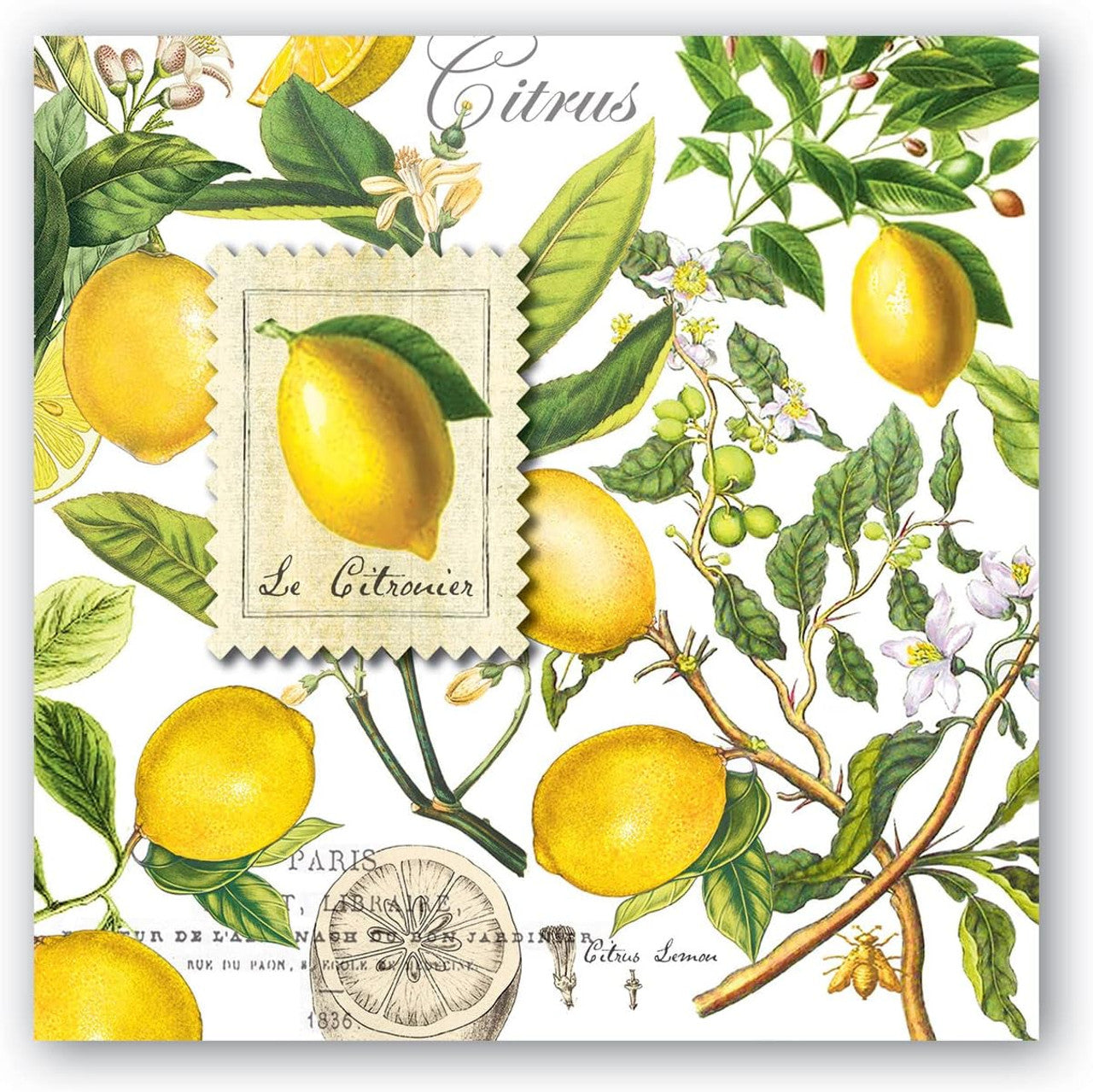 Set De 20 Servilletas (Lemon Basil) De Papel