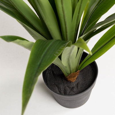 Planta Decorativa Con Maceta Color Negro De Plástico