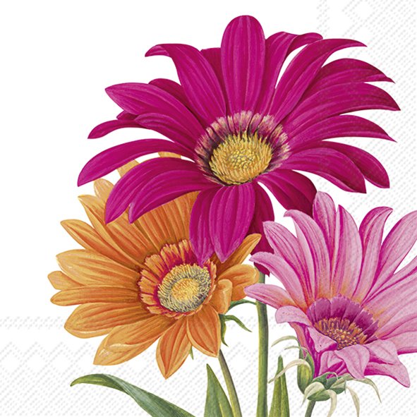 Set De 20 Servilletas (Gerbera Rojas/Naranjas) De Papel