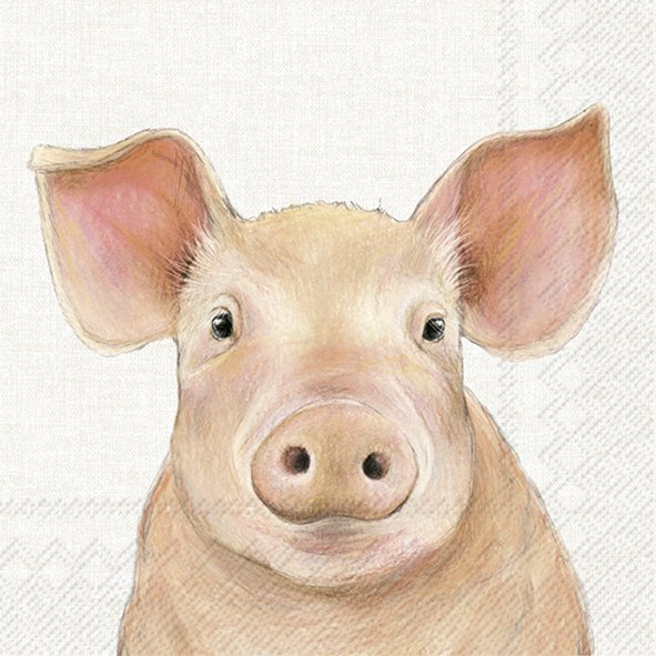 Set De 20 Servilletas (Cerdo Pig) De Papel