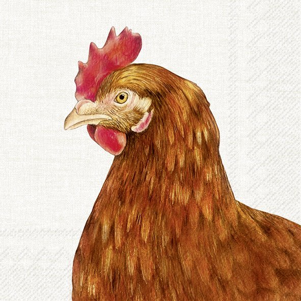 Set De 20 Servilletas (Gallina) De Papel
