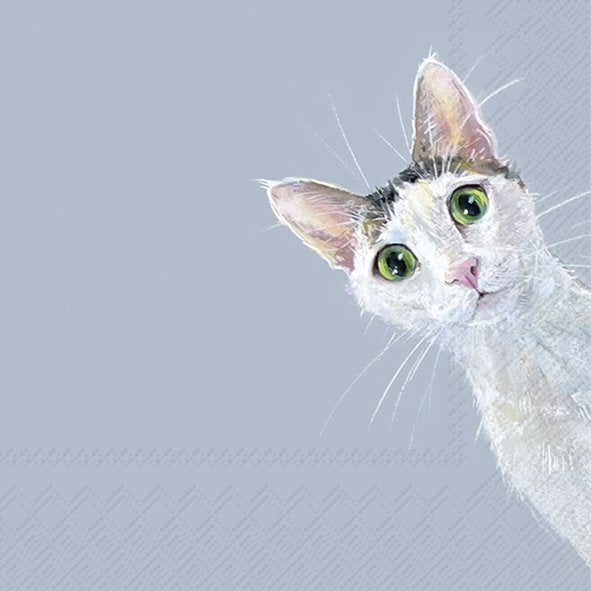 Set De 20 Servilletas (Gato En Fondo Gris) De Papel