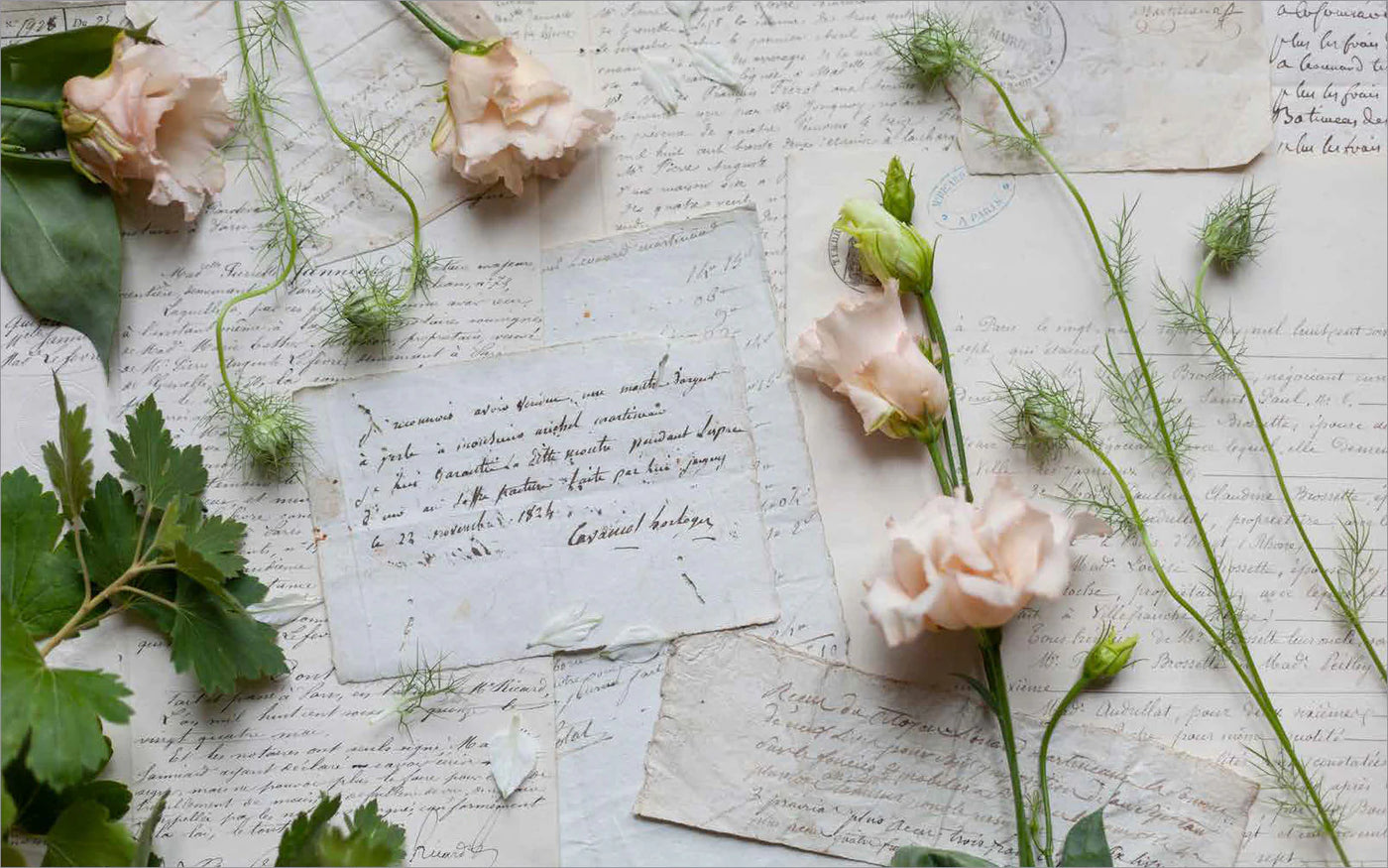 Libro, French Blooms De Papel