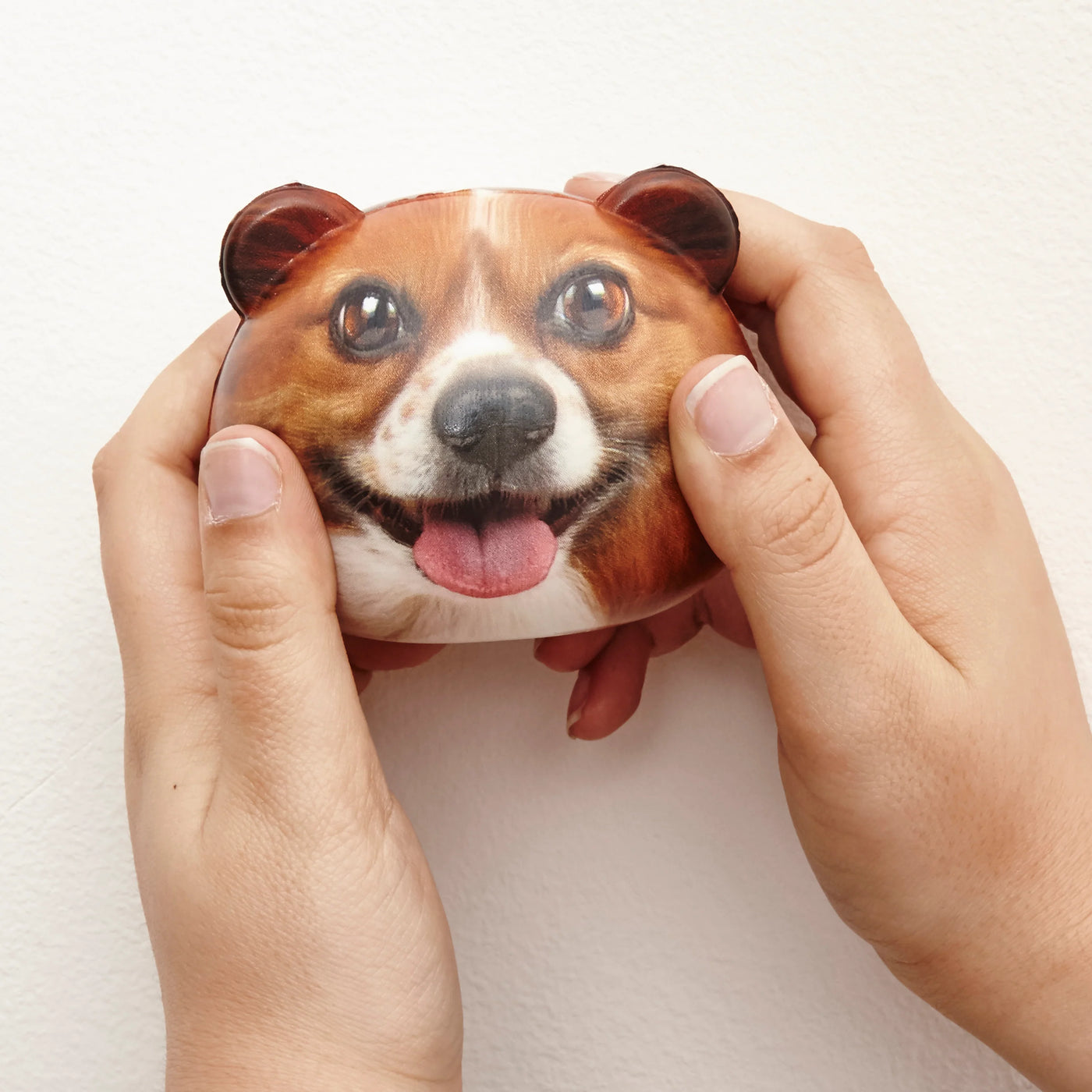 Pelota Anti Estrés (Modelo Perro) De Plástico