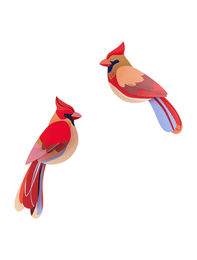 Set X 2 Piezas Decorativas De Pared (Aves Naranjas) De Papel