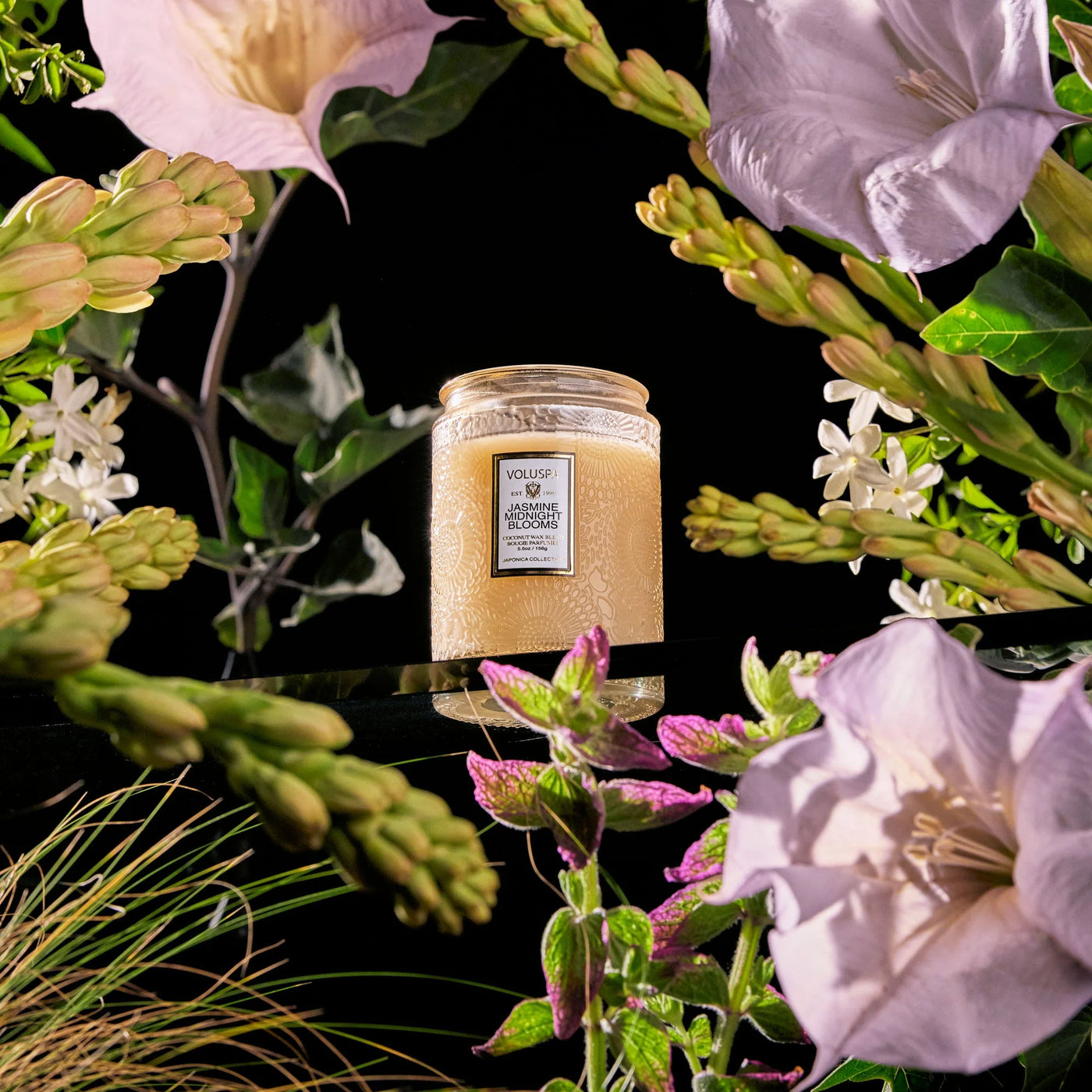 Vela: Jap Small L Jar Jasmine Midnight Blooms