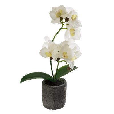 Arreglo Decorativo (Orquídeas Blancas) De Plástico