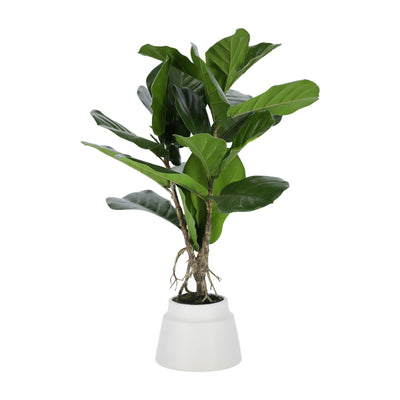 Planta Decorativa Verde Base De Cerámica (Blanca) De Plástico