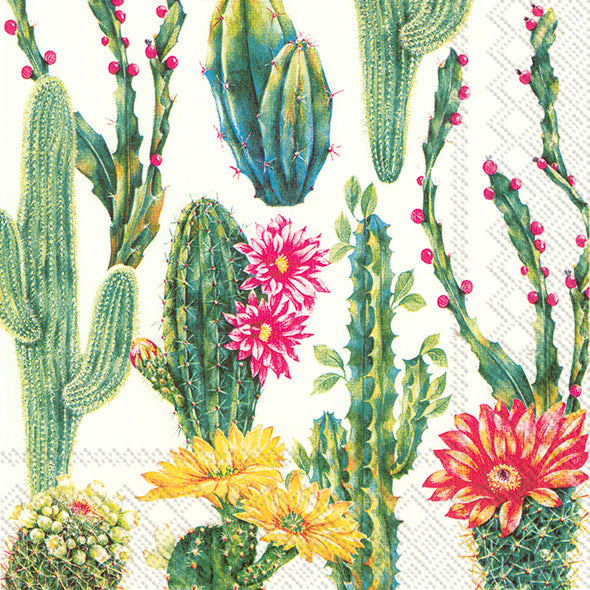 Set De 20 Servilletas (Cactus Verdes Jardin) De Papel